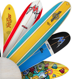Malibu-Funshapes-Longboard-Surfboards-Surfbretter